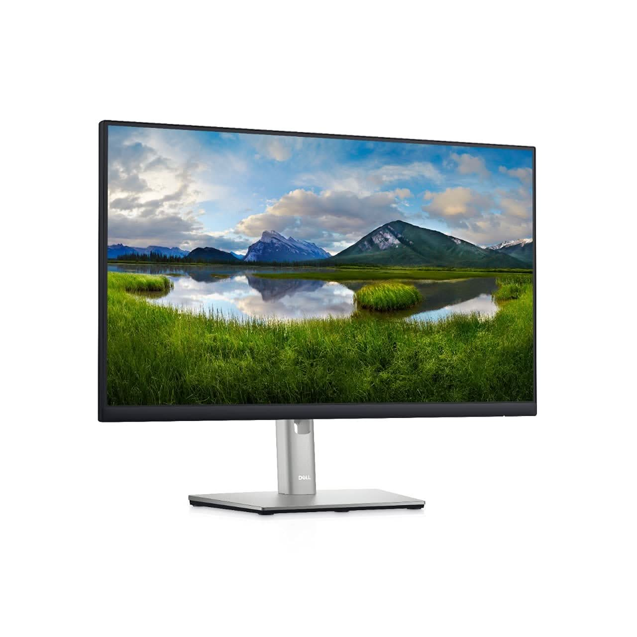 LED-24-DELL-P2422HE