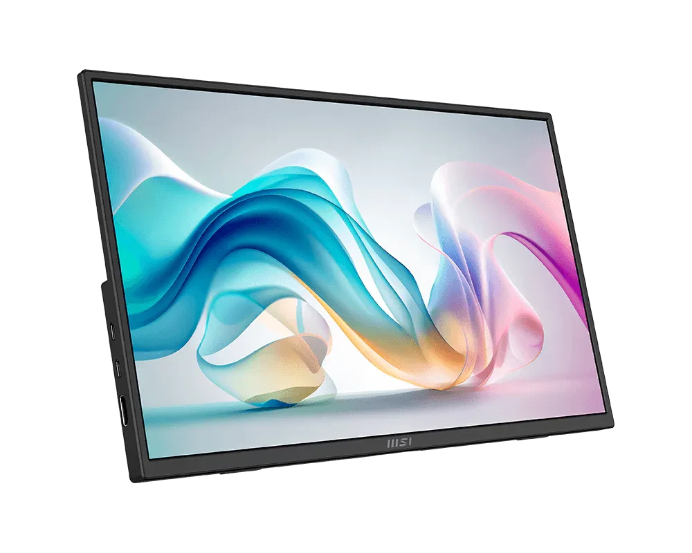 MSI PRO MP165 E6 15.6 Inch FHD IPS Panel Pro Monitor