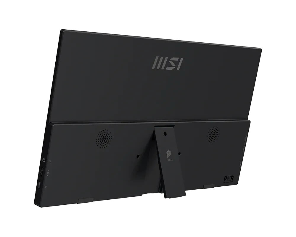 MSI PRO MP165 E6 15.6 Inch FHD IPS Panel Pro Monitor