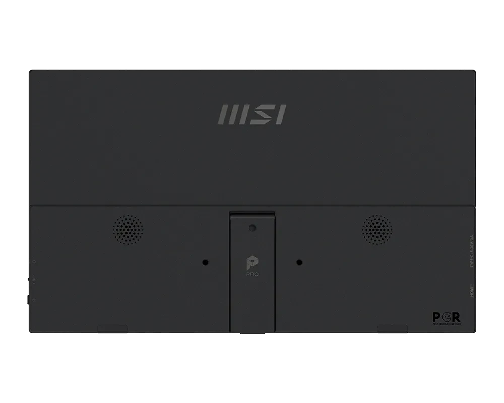 MSI PRO MP165 E6 15.6 Inch FHD IPS Panel Pro Monitor