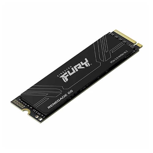 KINGSTON FURY RENEGADE G5 1TB | PCIE 5.0X4 M.2 2280 | SEQ. READ SPEEDS UP TO 14,200MB/S | 5 YEAR WARRANTY | SFYR2S/1T0